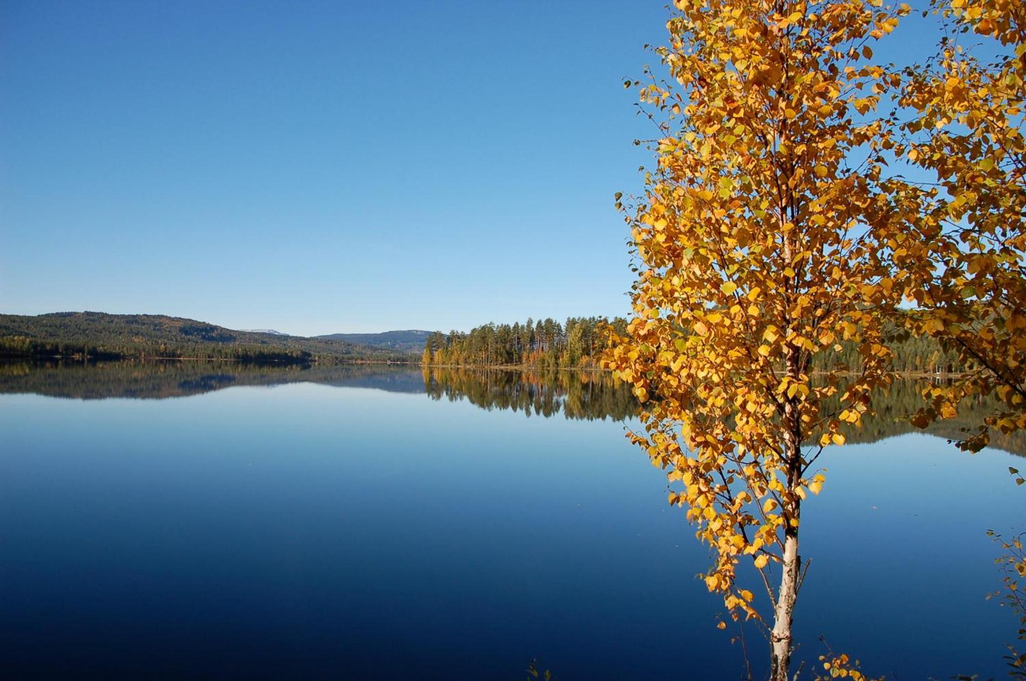 Vila Halvorseth Prestfoss Exteriér fotografie